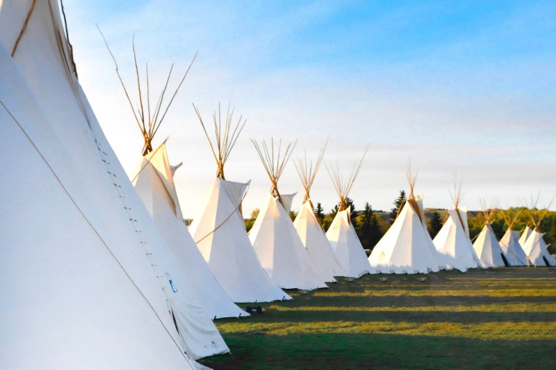 Row of tipis in green field