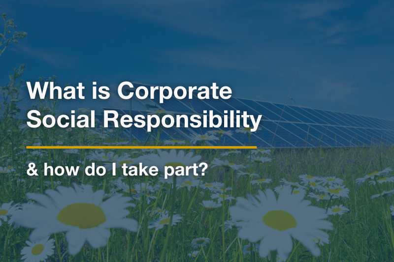 daisies and solar panels in a field with the following text overtop: what is corporate social responsibility and how do I take part?