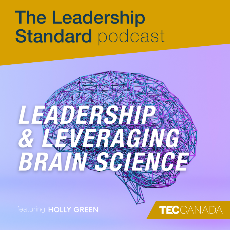 Unlocking the Secrets of Top-Level Leadership with Holly Green