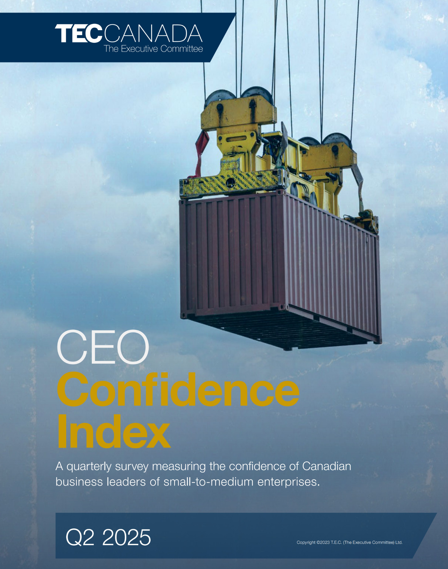 CEO Survey Cover