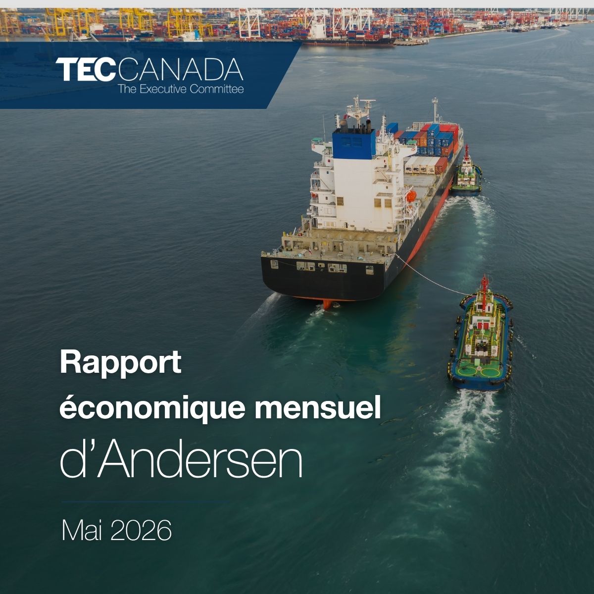 Andersen – 2025 12 (2)